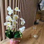 Rora Lejlighedshotel 3*