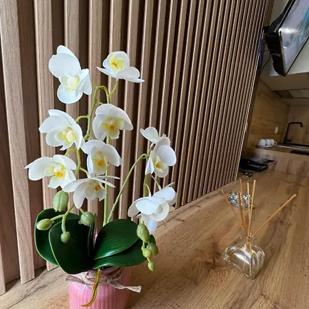 Rora Hotel apartamentowy 3*