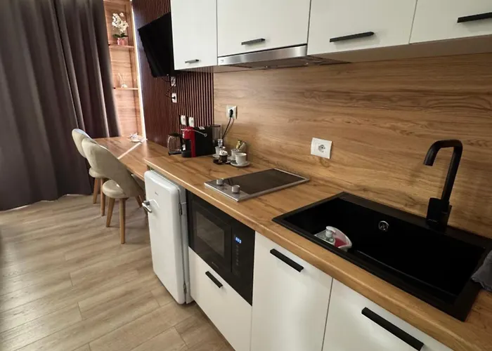 公寓式酒店 Rora