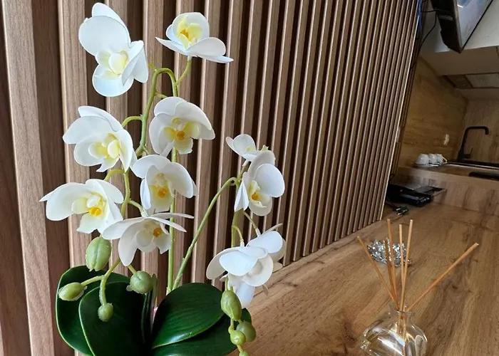 Rora 公寓式酒店 3*